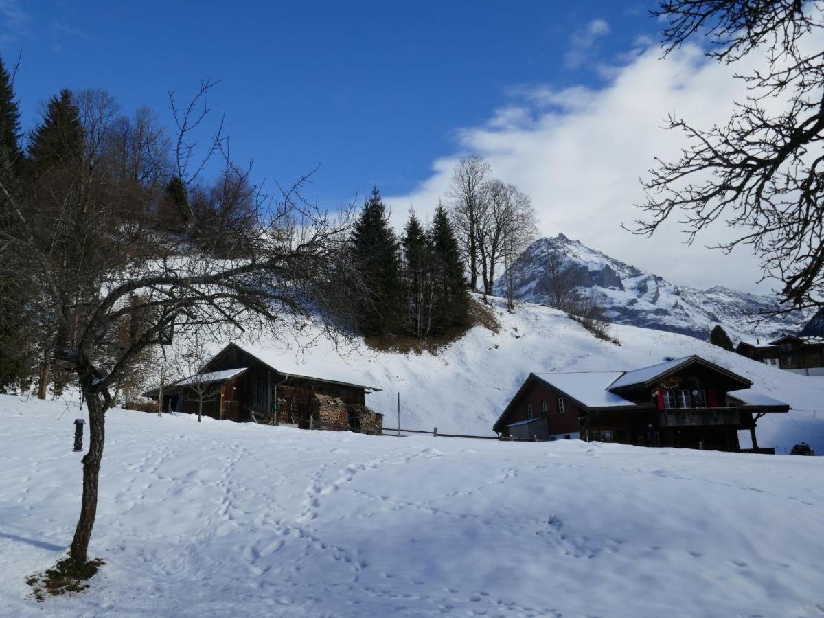 Apartment Chalet Schwendihus-6 By Interhome Grindelwald Exterior photo